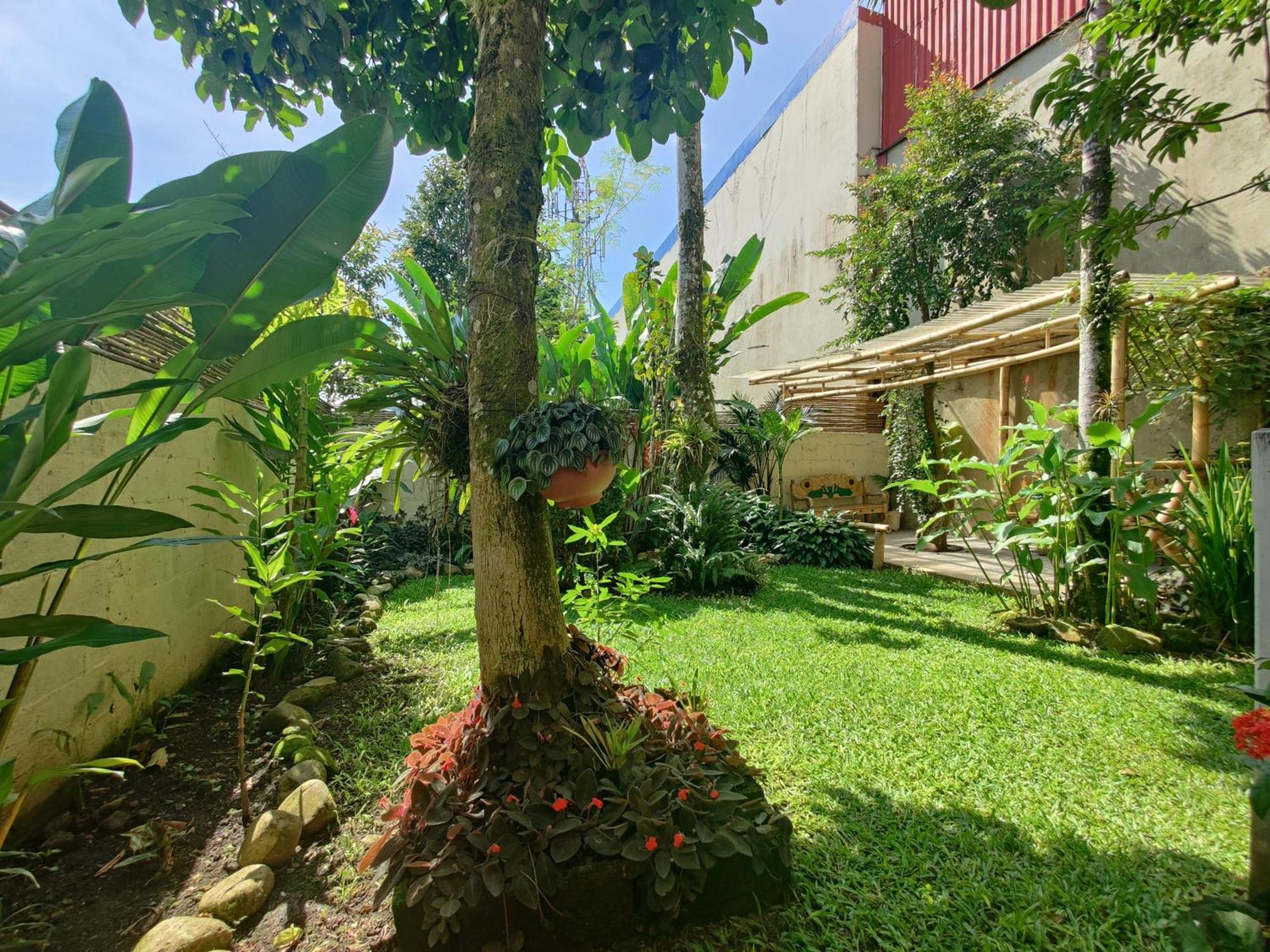 Casa De Lis Hotel & Tourist Info Centre Turrialba Luaran gambar