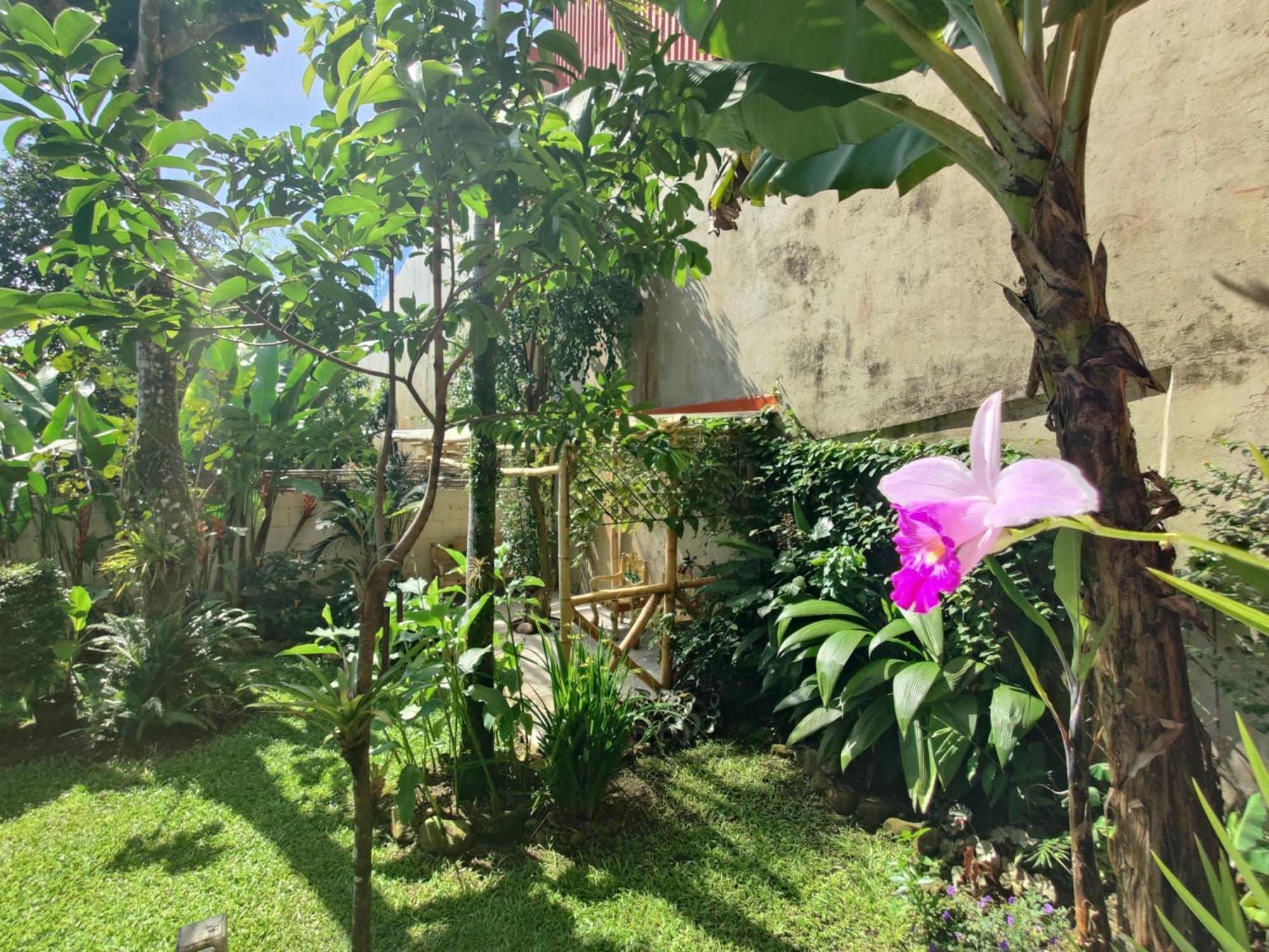 Casa De Lis Hotel & Tourist Info Centre Turrialba Luaran gambar