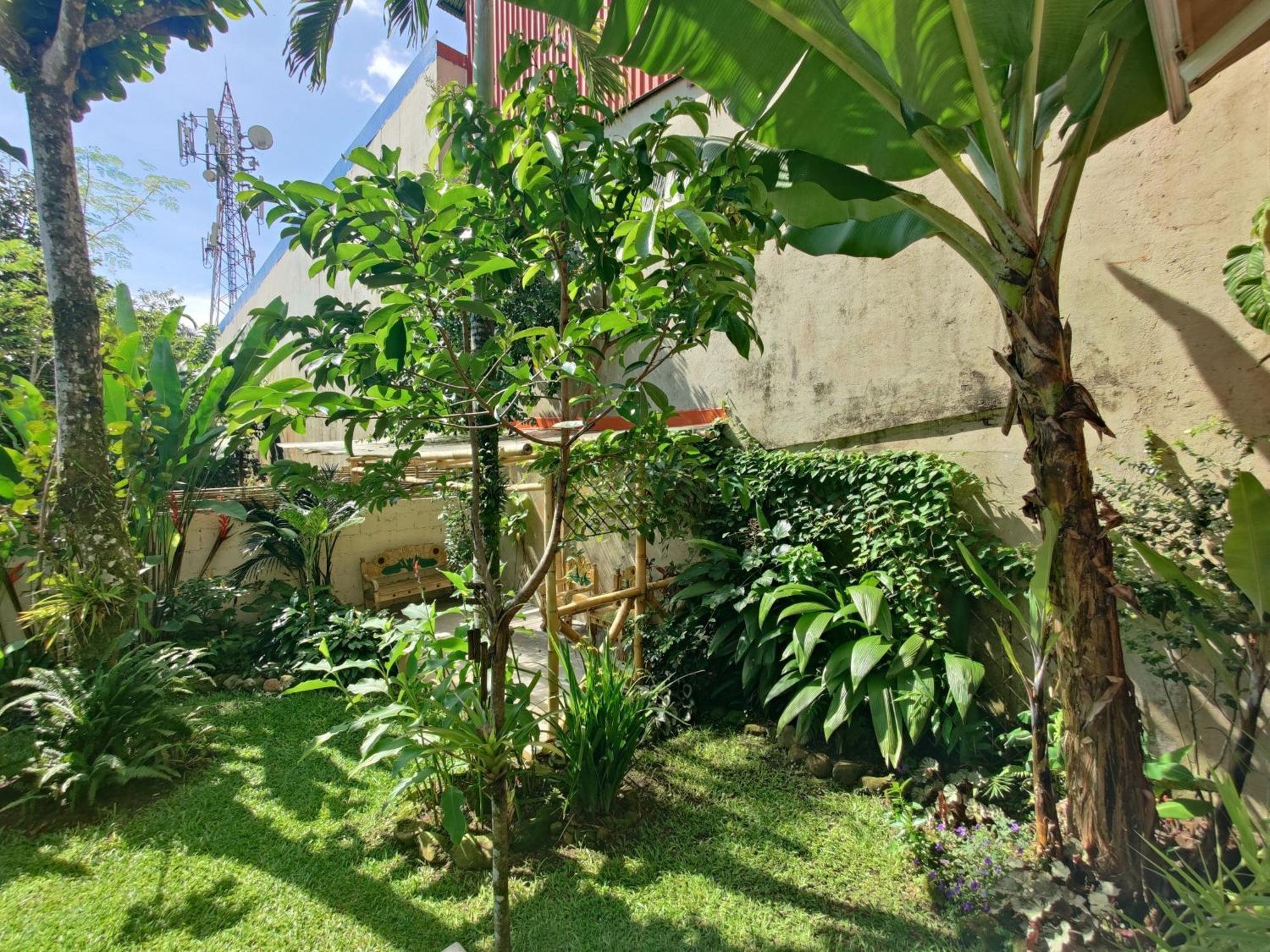 Casa De Lis Hotel & Tourist Info Centre Turrialba Luaran gambar